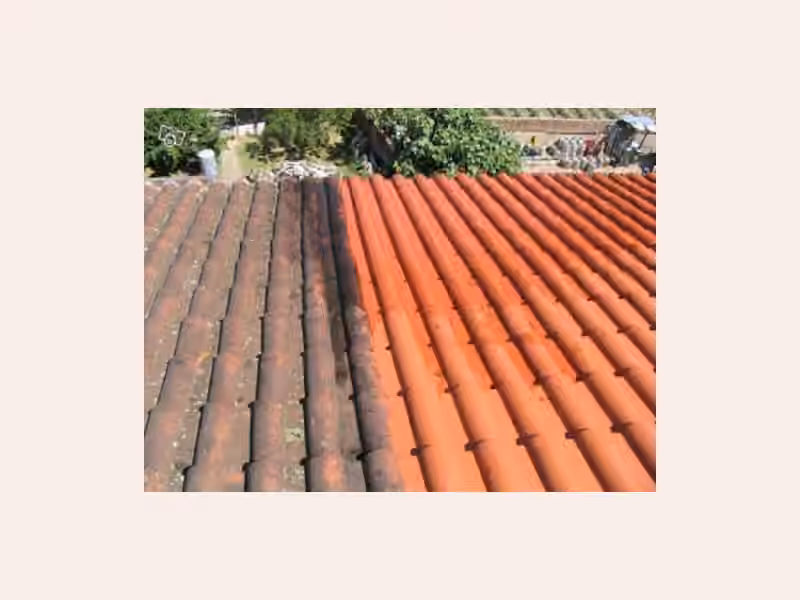 Couvreur Perpignan - Fuites toiture 66, démoussage toiture, traitement hydrofuge toiture: SOS INFILTRATION
