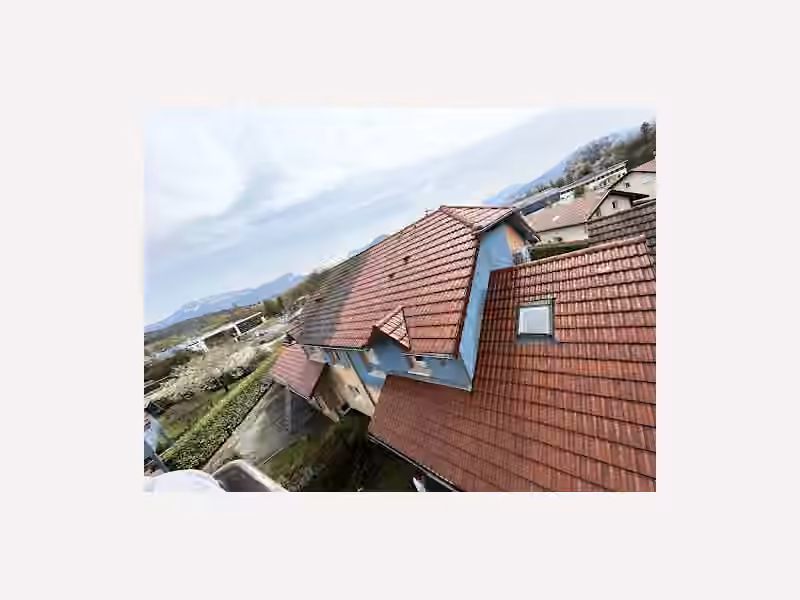 Rodriguez père & fils couvreur zingueur à lyon et ses alentours toiture rénovation fuite velux 69 rhône