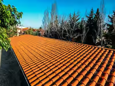 Couvreur Nettoyage Démoussage Toiture