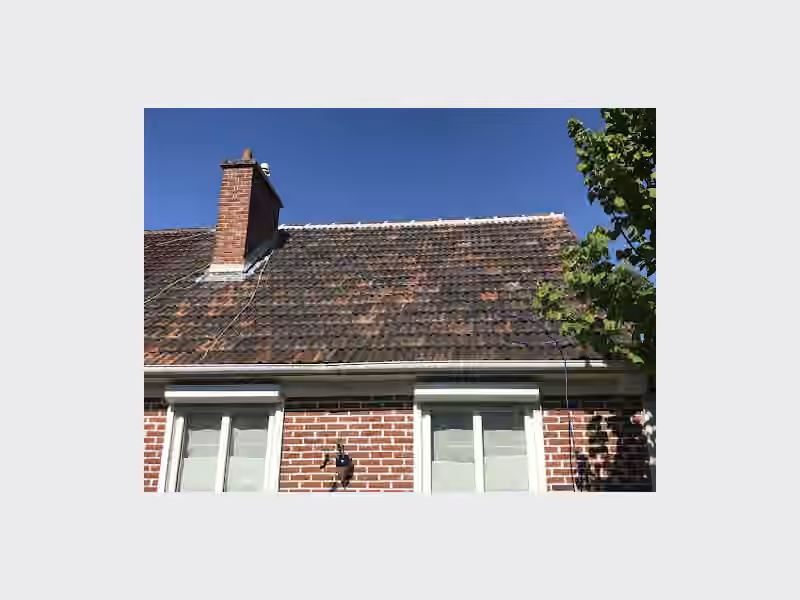 Jacquin renovation